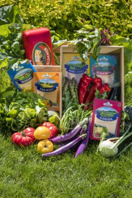 ser MSM Mońki materiały prasowe 02